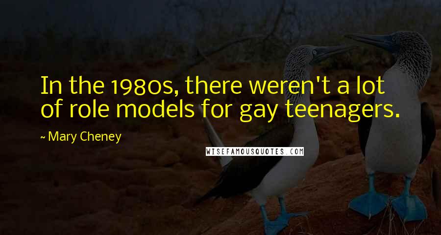 Mary Cheney Quotes: In the 1980s, there weren't a lot of role models for gay teenagers.