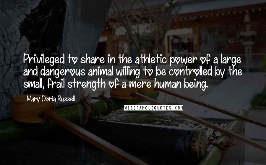 Mary Doria Russell Quotes: Privileged to share in the athletic power of a large and dangerous animal willing to be controlled by the small, frail strength of a mere human being.