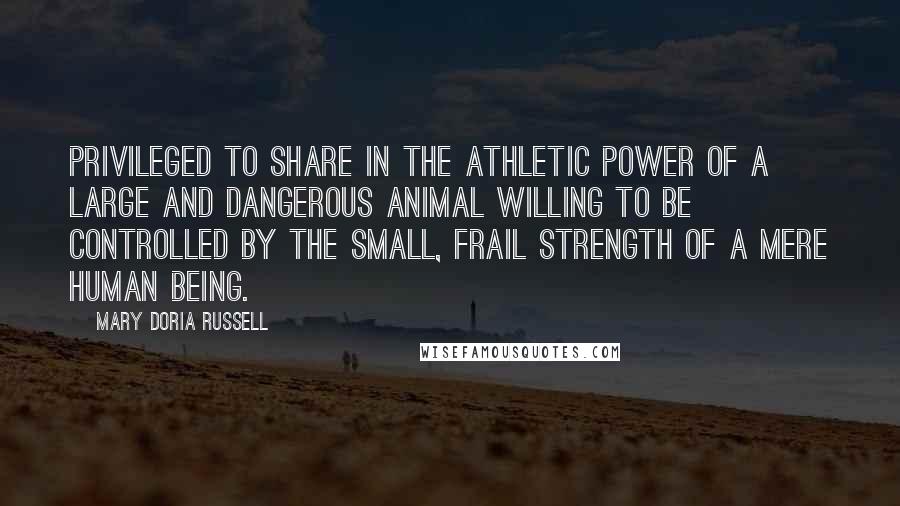Mary Doria Russell Quotes: Privileged to share in the athletic power of a large and dangerous animal willing to be controlled by the small, frail strength of a mere human being.