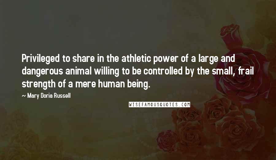 Mary Doria Russell Quotes: Privileged to share in the athletic power of a large and dangerous animal willing to be controlled by the small, frail strength of a mere human being.