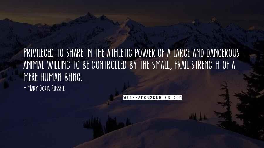 Mary Doria Russell Quotes: Privileged to share in the athletic power of a large and dangerous animal willing to be controlled by the small, frail strength of a mere human being.