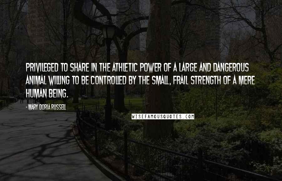 Mary Doria Russell Quotes: Privileged to share in the athletic power of a large and dangerous animal willing to be controlled by the small, frail strength of a mere human being.