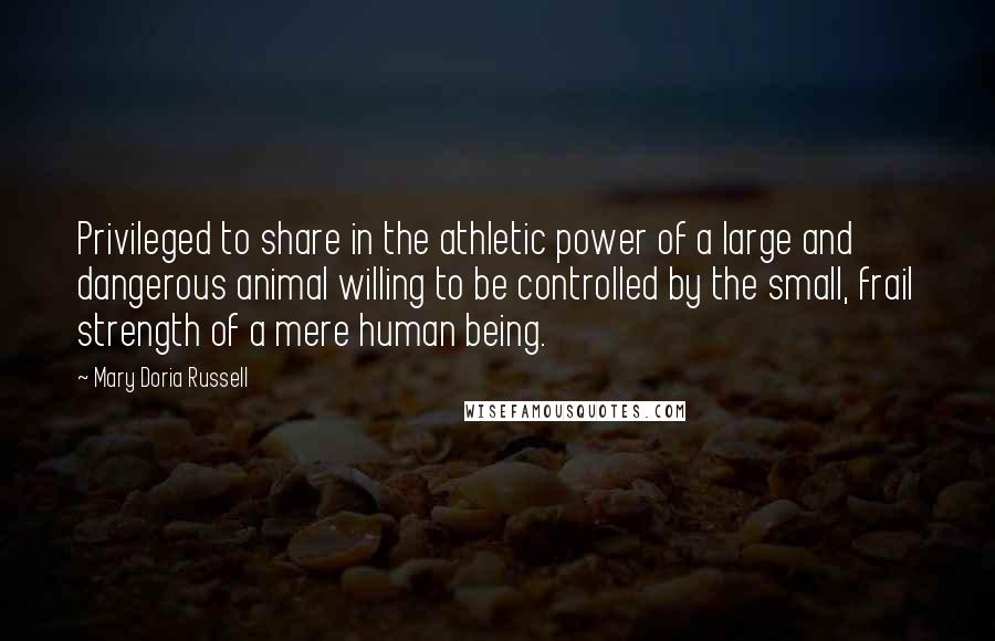Mary Doria Russell Quotes: Privileged to share in the athletic power of a large and dangerous animal willing to be controlled by the small, frail strength of a mere human being.
