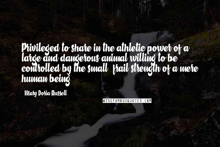 Mary Doria Russell Quotes: Privileged to share in the athletic power of a large and dangerous animal willing to be controlled by the small, frail strength of a mere human being.