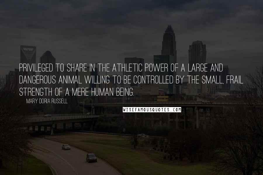 Mary Doria Russell Quotes: Privileged to share in the athletic power of a large and dangerous animal willing to be controlled by the small, frail strength of a mere human being.