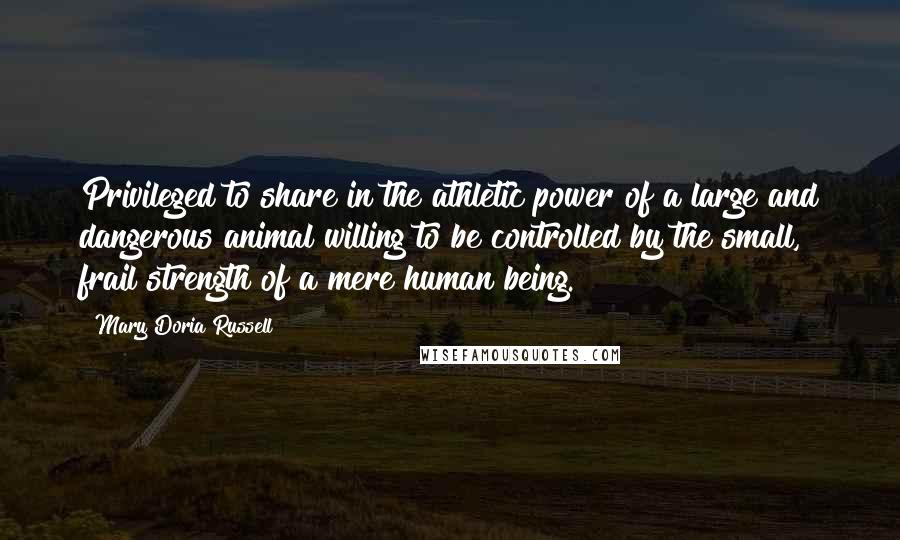 Mary Doria Russell Quotes: Privileged to share in the athletic power of a large and dangerous animal willing to be controlled by the small, frail strength of a mere human being.