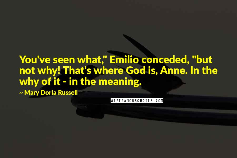 Mary Doria Russell Quotes: You've seen what," Emilio conceded, "but not why! That's where God is, Anne. In the why of it - in the meaning.