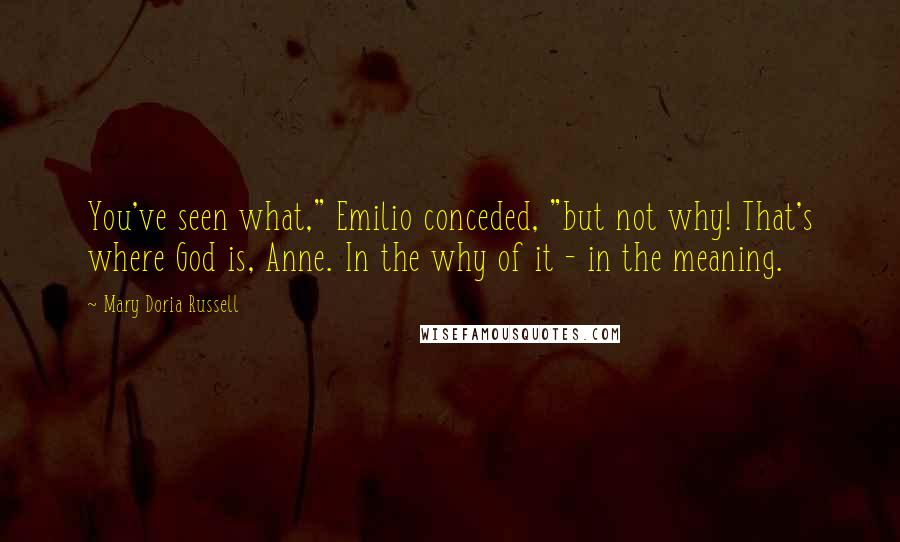 Mary Doria Russell Quotes: You've seen what," Emilio conceded, "but not why! That's where God is, Anne. In the why of it - in the meaning.