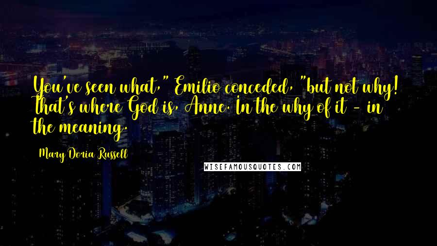 Mary Doria Russell Quotes: You've seen what," Emilio conceded, "but not why! That's where God is, Anne. In the why of it - in the meaning.