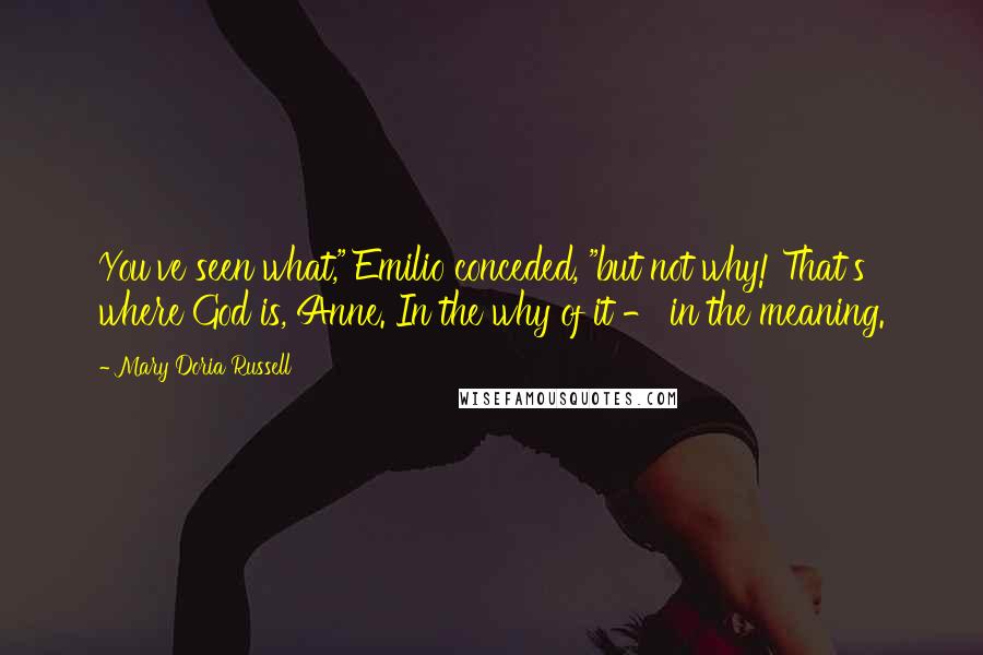 Mary Doria Russell Quotes: You've seen what," Emilio conceded, "but not why! That's where God is, Anne. In the why of it - in the meaning.