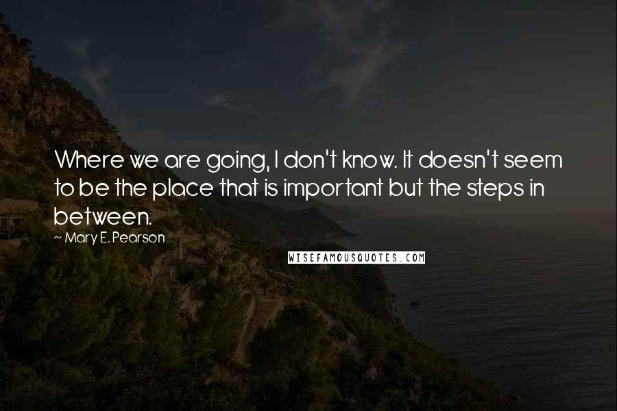 Mary E. Pearson Quotes: Where we are going, I don't know. It doesn't seem to be the place that is important but the steps in between.
