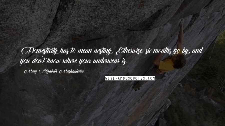 Mary Elizabeth Mastrantonio Quotes: Domesticity has to mean nesting. Otherwise, six months go by, and you don't know where your underwear is.