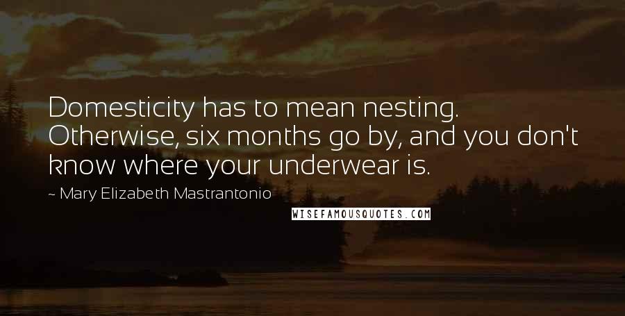 Mary Elizabeth Mastrantonio Quotes: Domesticity has to mean nesting. Otherwise, six months go by, and you don't know where your underwear is.