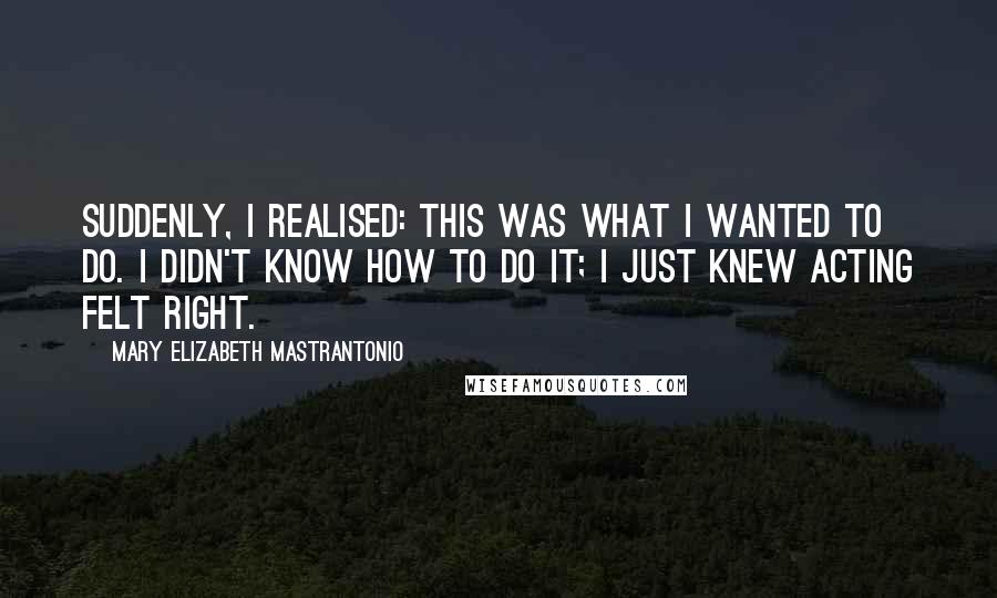 Mary Elizabeth Mastrantonio Quotes: Suddenly, I realised: this was what I wanted to do. I didn't know how to do it; I just knew acting felt right.