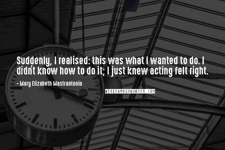 Mary Elizabeth Mastrantonio Quotes: Suddenly, I realised: this was what I wanted to do. I didn't know how to do it; I just knew acting felt right.