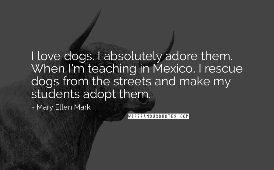 Mary Ellen Mark Quotes: I love dogs. I absolutely adore them. When I'm teaching in Mexico, I rescue dogs from the streets and make my students adopt them.