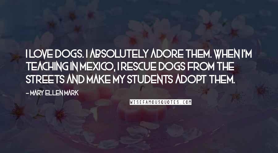 Mary Ellen Mark Quotes: I love dogs. I absolutely adore them. When I'm teaching in Mexico, I rescue dogs from the streets and make my students adopt them.