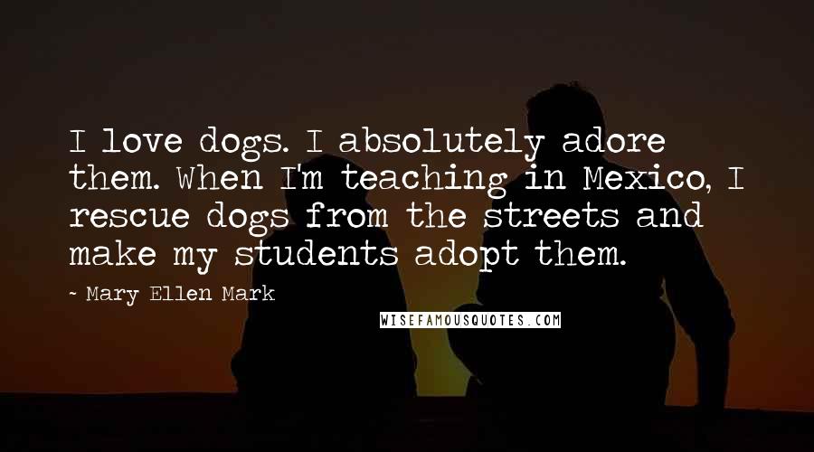 Mary Ellen Mark Quotes: I love dogs. I absolutely adore them. When I'm teaching in Mexico, I rescue dogs from the streets and make my students adopt them.