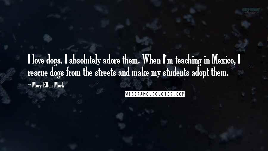Mary Ellen Mark Quotes: I love dogs. I absolutely adore them. When I'm teaching in Mexico, I rescue dogs from the streets and make my students adopt them.