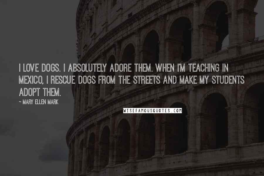 Mary Ellen Mark Quotes: I love dogs. I absolutely adore them. When I'm teaching in Mexico, I rescue dogs from the streets and make my students adopt them.