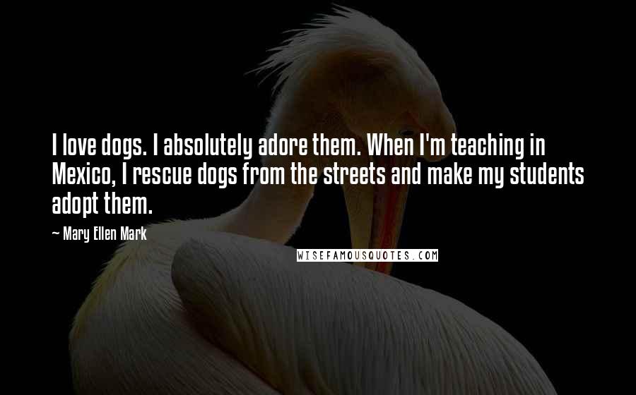 Mary Ellen Mark Quotes: I love dogs. I absolutely adore them. When I'm teaching in Mexico, I rescue dogs from the streets and make my students adopt them.