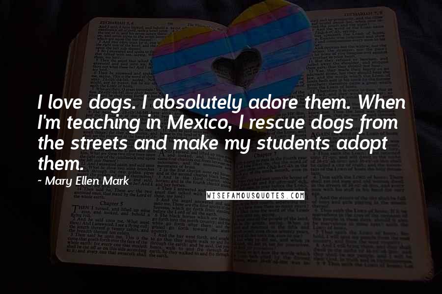 Mary Ellen Mark Quotes: I love dogs. I absolutely adore them. When I'm teaching in Mexico, I rescue dogs from the streets and make my students adopt them.