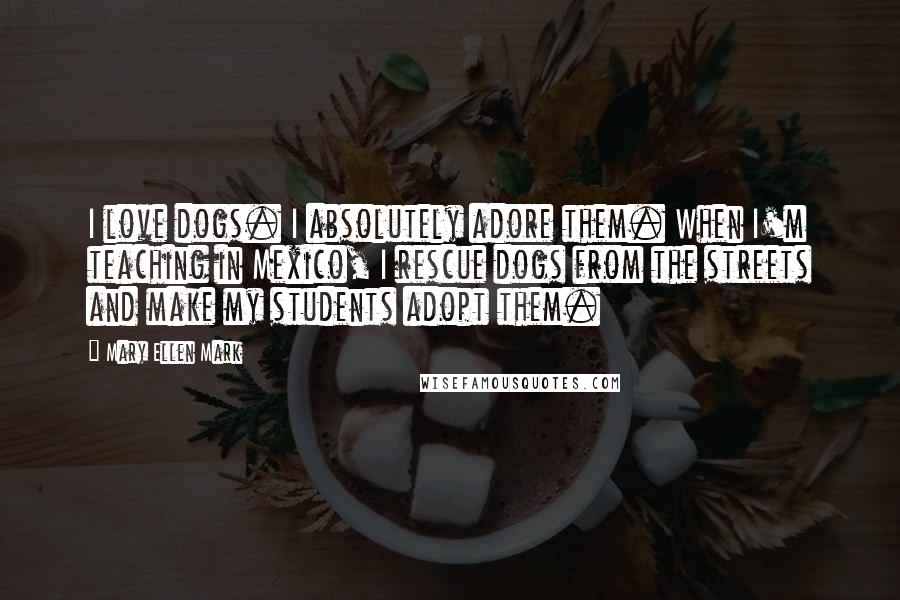 Mary Ellen Mark Quotes: I love dogs. I absolutely adore them. When I'm teaching in Mexico, I rescue dogs from the streets and make my students adopt them.