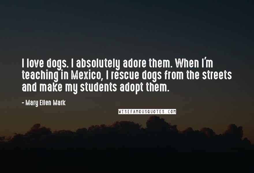 Mary Ellen Mark Quotes: I love dogs. I absolutely adore them. When I'm teaching in Mexico, I rescue dogs from the streets and make my students adopt them.
