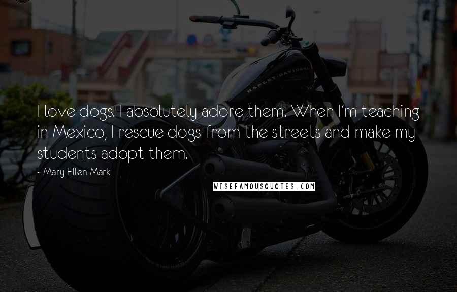 Mary Ellen Mark Quotes: I love dogs. I absolutely adore them. When I'm teaching in Mexico, I rescue dogs from the streets and make my students adopt them.