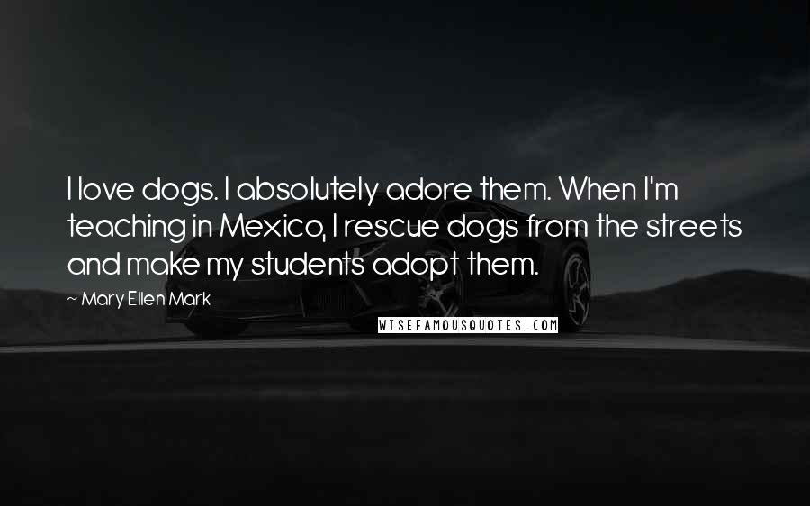 Mary Ellen Mark Quotes: I love dogs. I absolutely adore them. When I'm teaching in Mexico, I rescue dogs from the streets and make my students adopt them.