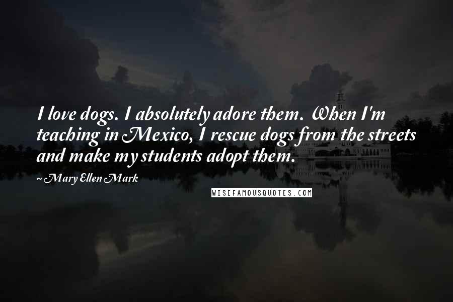 Mary Ellen Mark Quotes: I love dogs. I absolutely adore them. When I'm teaching in Mexico, I rescue dogs from the streets and make my students adopt them.