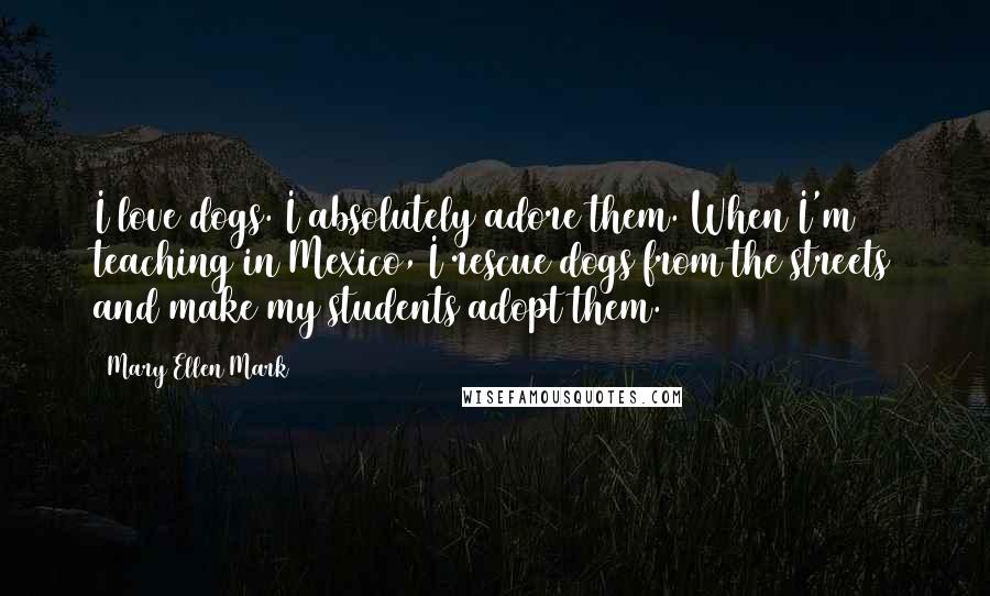Mary Ellen Mark Quotes: I love dogs. I absolutely adore them. When I'm teaching in Mexico, I rescue dogs from the streets and make my students adopt them.