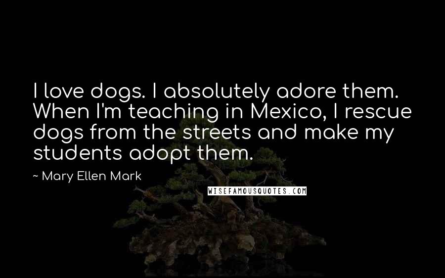 Mary Ellen Mark Quotes: I love dogs. I absolutely adore them. When I'm teaching in Mexico, I rescue dogs from the streets and make my students adopt them.