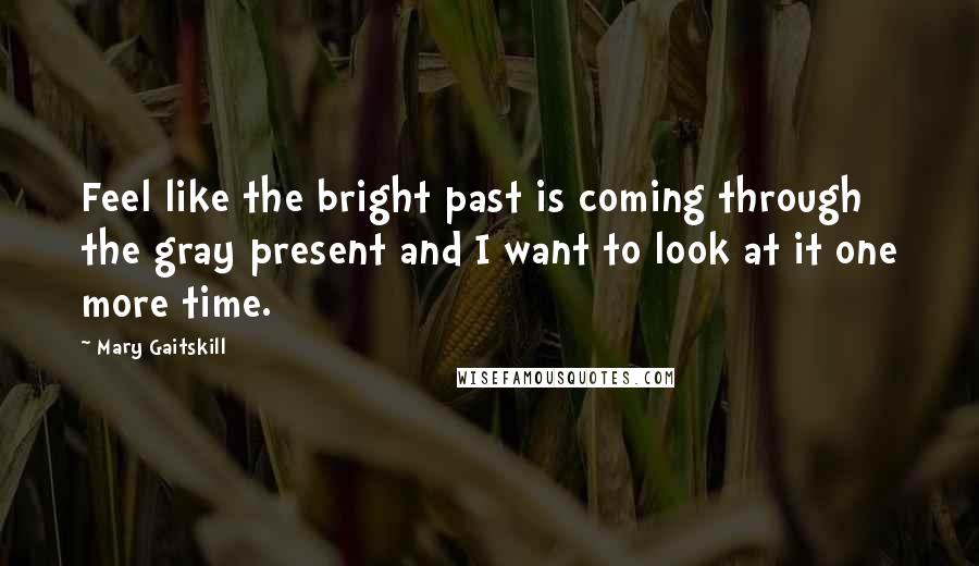 Mary Gaitskill Quotes: Feel like the bright past is coming through the gray present and I want to look at it one more time.