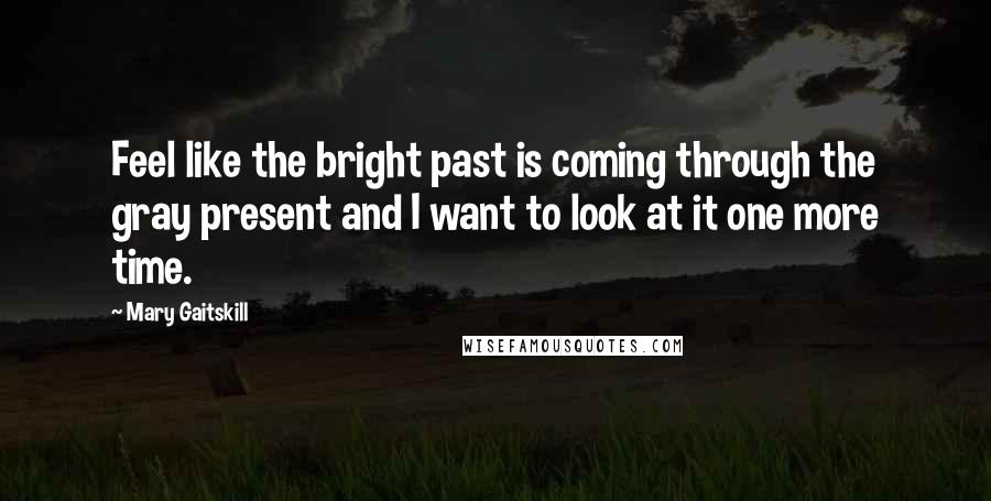 Mary Gaitskill Quotes: Feel like the bright past is coming through the gray present and I want to look at it one more time.