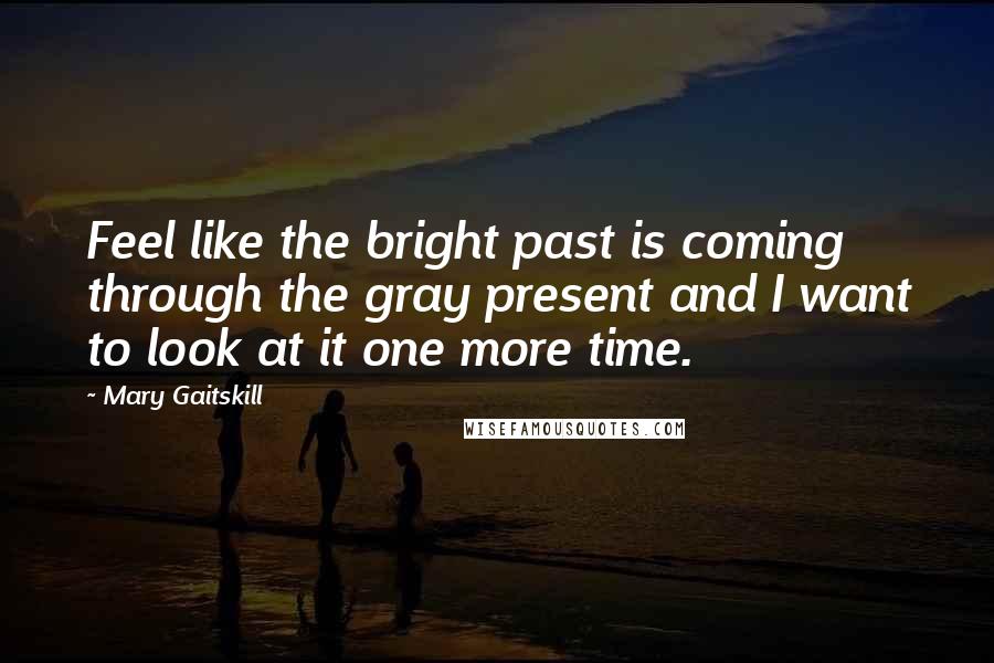 Mary Gaitskill Quotes: Feel like the bright past is coming through the gray present and I want to look at it one more time.