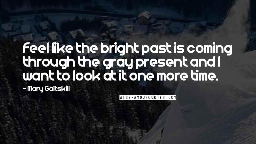 Mary Gaitskill Quotes: Feel like the bright past is coming through the gray present and I want to look at it one more time.