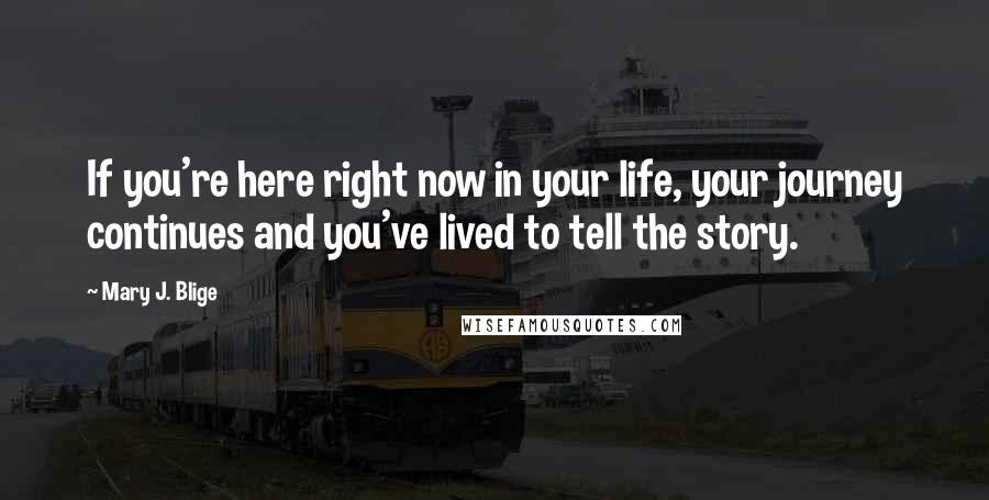 Mary J. Blige Quotes: If you're here right now in your life, your journey continues and you've lived to tell the story.