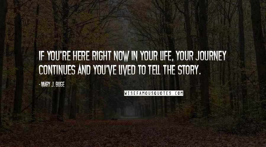 Mary J. Blige Quotes: If you're here right now in your life, your journey continues and you've lived to tell the story.