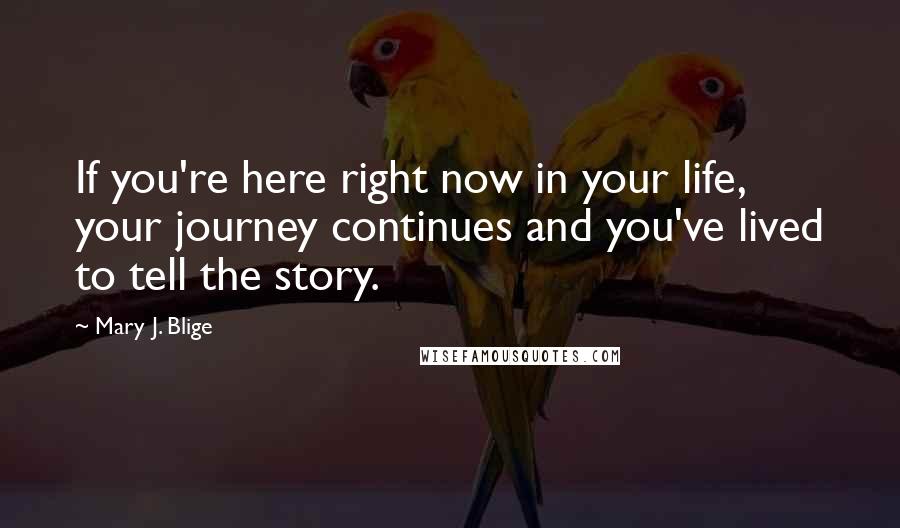Mary J. Blige Quotes: If you're here right now in your life, your journey continues and you've lived to tell the story.