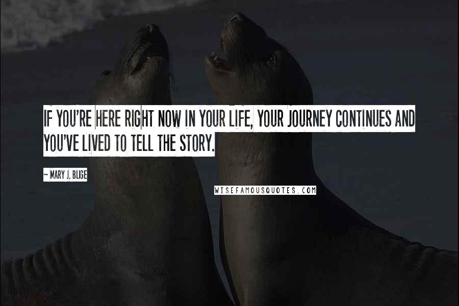 Mary J. Blige Quotes: If you're here right now in your life, your journey continues and you've lived to tell the story.