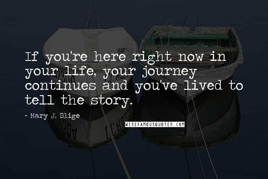 Mary J. Blige Quotes: If you're here right now in your life, your journey continues and you've lived to tell the story.