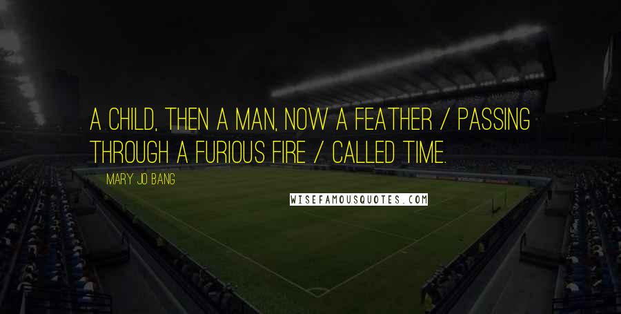 Mary Jo Bang Quotes: A child, then a man, now a feather / Passing through a furious fire / Called time.