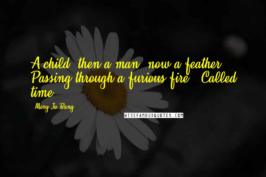 Mary Jo Bang Quotes: A child, then a man, now a feather / Passing through a furious fire / Called time.