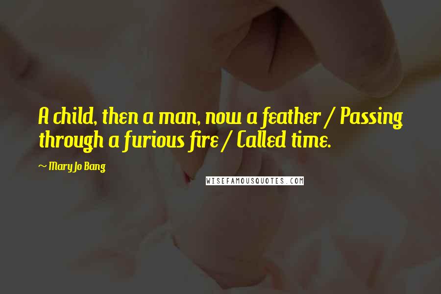 Mary Jo Bang Quotes: A child, then a man, now a feather / Passing through a furious fire / Called time.