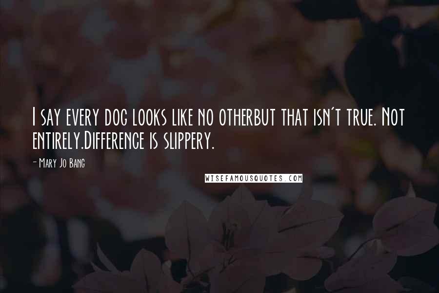 Mary Jo Bang Quotes: I say every dog looks like no otherbut that isn't true. Not entirely.Difference is slippery.