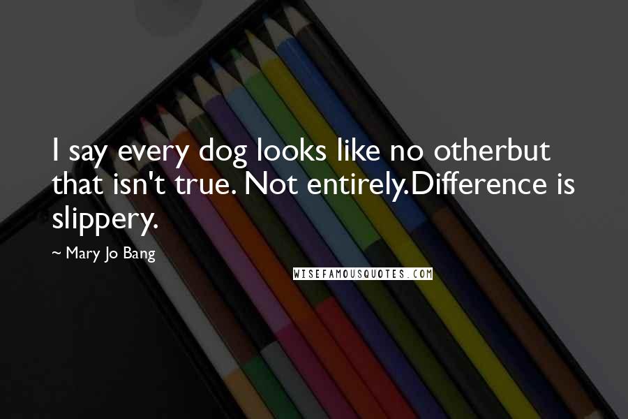 Mary Jo Bang Quotes: I say every dog looks like no otherbut that isn't true. Not entirely.Difference is slippery.