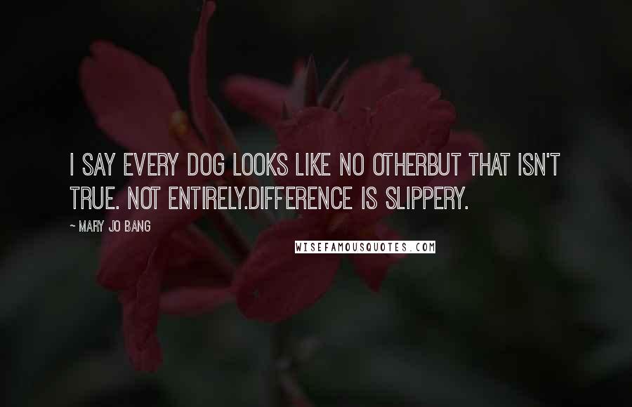 Mary Jo Bang Quotes: I say every dog looks like no otherbut that isn't true. Not entirely.Difference is slippery.