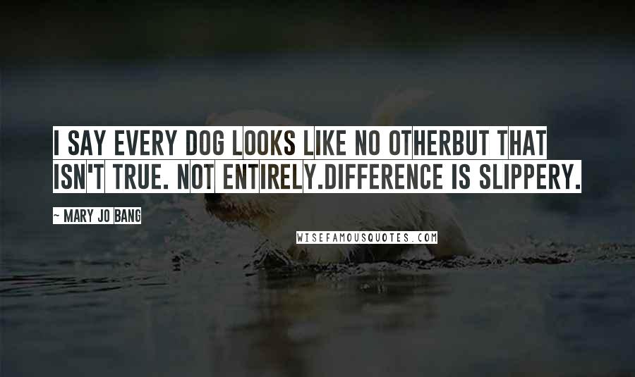 Mary Jo Bang Quotes: I say every dog looks like no otherbut that isn't true. Not entirely.Difference is slippery.