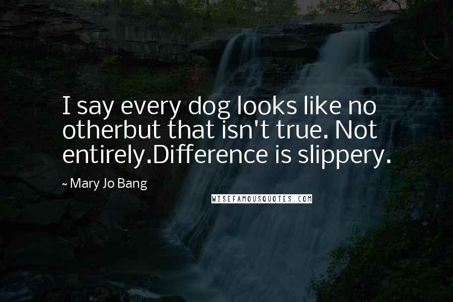 Mary Jo Bang Quotes: I say every dog looks like no otherbut that isn't true. Not entirely.Difference is slippery.